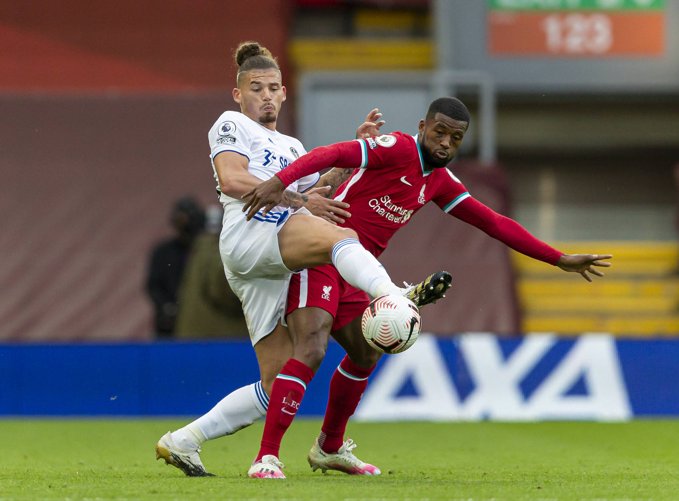 美主导的足 美主导的足